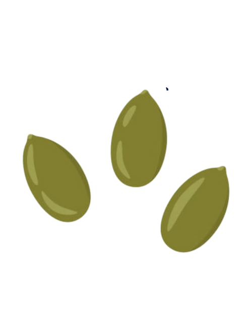 purely-haven-pumkin-seeds